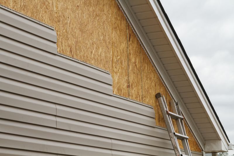 Professional Installing Vinyl Siding